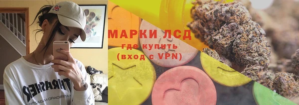 крисы Абаза