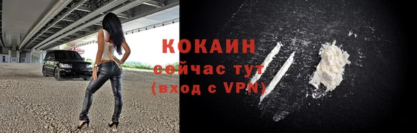 крисы Абаза