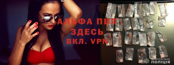 крисы Абаза
