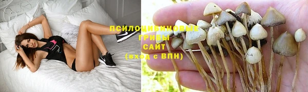 сатива Абдулино
