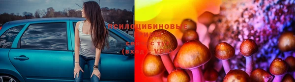 сатива Абдулино