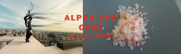 крисы Абаза