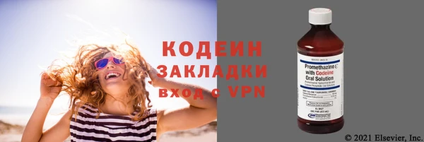 крисы Абаза