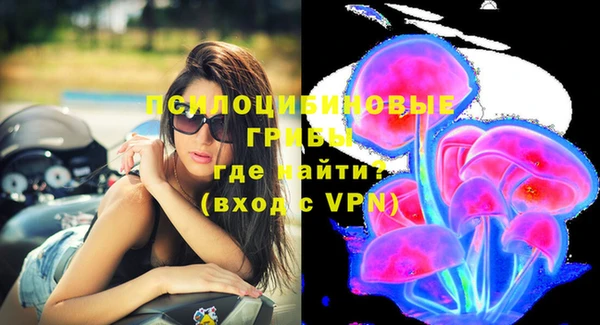 сатива Абдулино