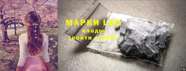 крисы Абаза