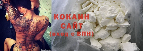 крисы Абаза