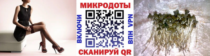 Галлюциногенные грибы мицелий  Азнакаево 