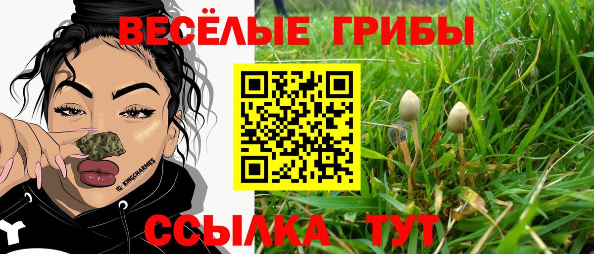 Псилоцибиновые грибы Psilocybine cubensis  Псилоцибиновые грибы мицелий  Вход с VPN  Азнакаево 