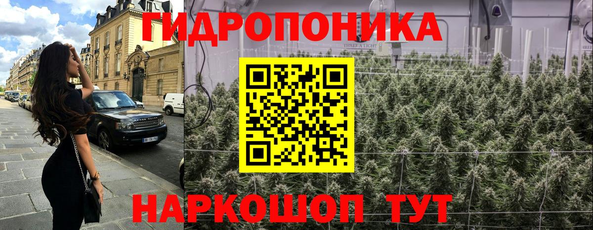 Шишки марихуана OG Kush  МАРИХУАНА Ganja  Вход с VPN  Азнакаево  Марихуана White Widow 